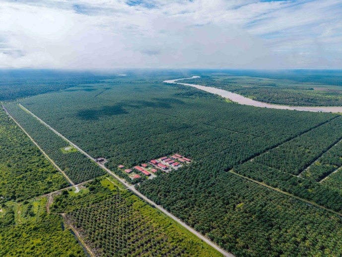 WTK Holdings: Assets Enhancement Exercise in Place?