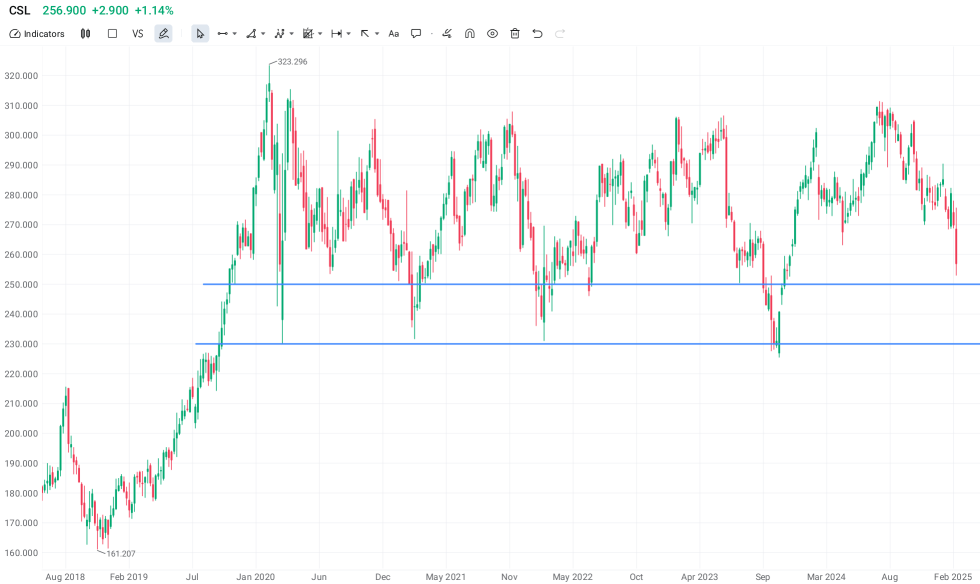 The Big Picture – a guide for dip buyers in CSL