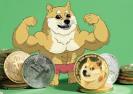 感觉某个模因币有潜力？在买入之前，请先阅读这篇文章。