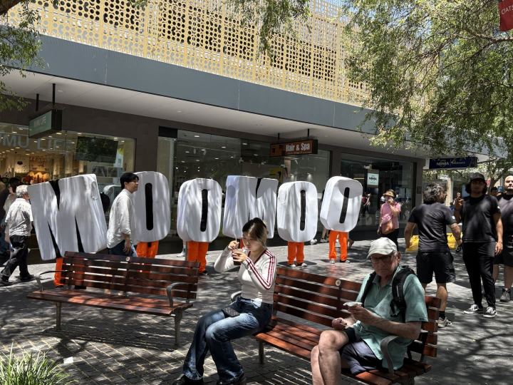 悉尼Moomoo线下店抢先体验！