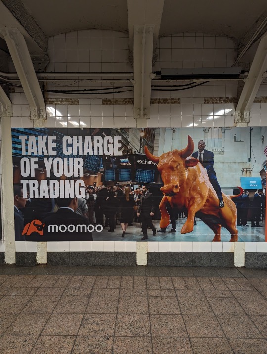 moomoo