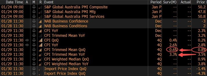 Australian IPOs kick off a challenging 2025 - but the runway could pickup in the second half: Jessica Amir