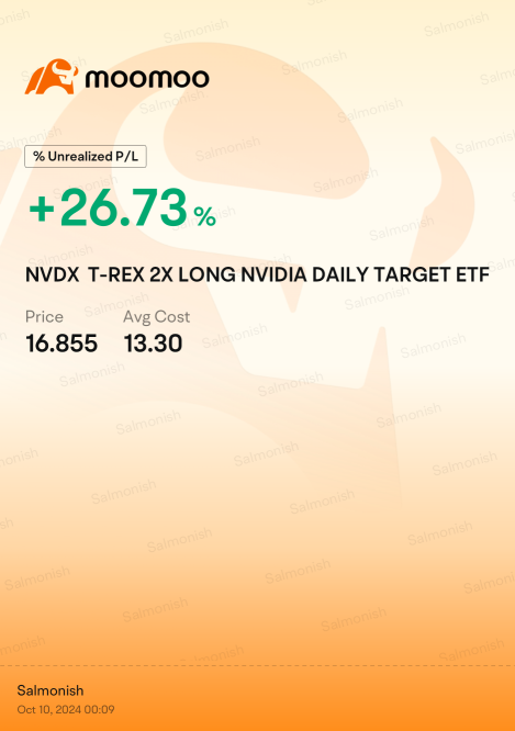 $NVDX 继续努力！💹