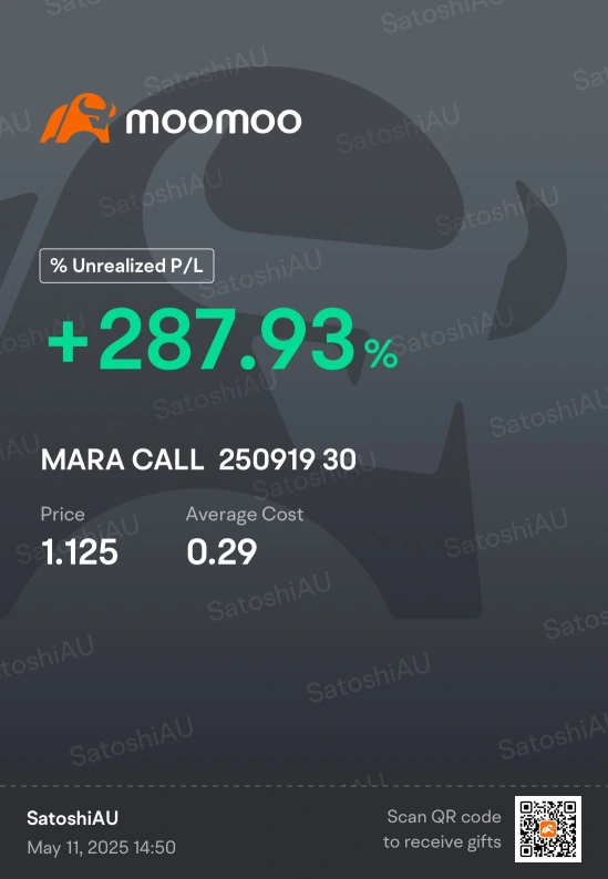 MARAオプション - BTCの利益を活用する