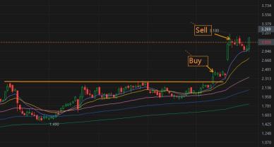 Paper Trading Championshipに勝利した際の反省