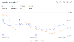 特斯拉麪臨關稅壓力：投資者當前可通過期權採取的措施