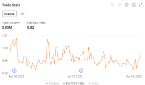特斯拉麪臨關稅壓力：投資者當前可通過期權採取的措施