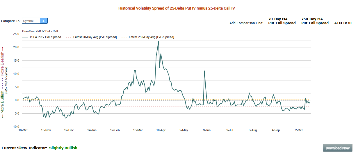 Tesla Put Skew