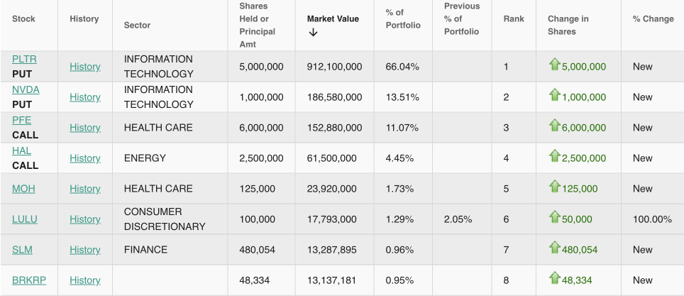 大空頭歸來！Michael Burry大舉押注英偉達和Palantir的看跌期權