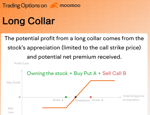 Michael Burry Picks Lululemon at 12x P/E with 20% Oversea Growth, Is Wall Street Wrong About the Yogawear Giant?