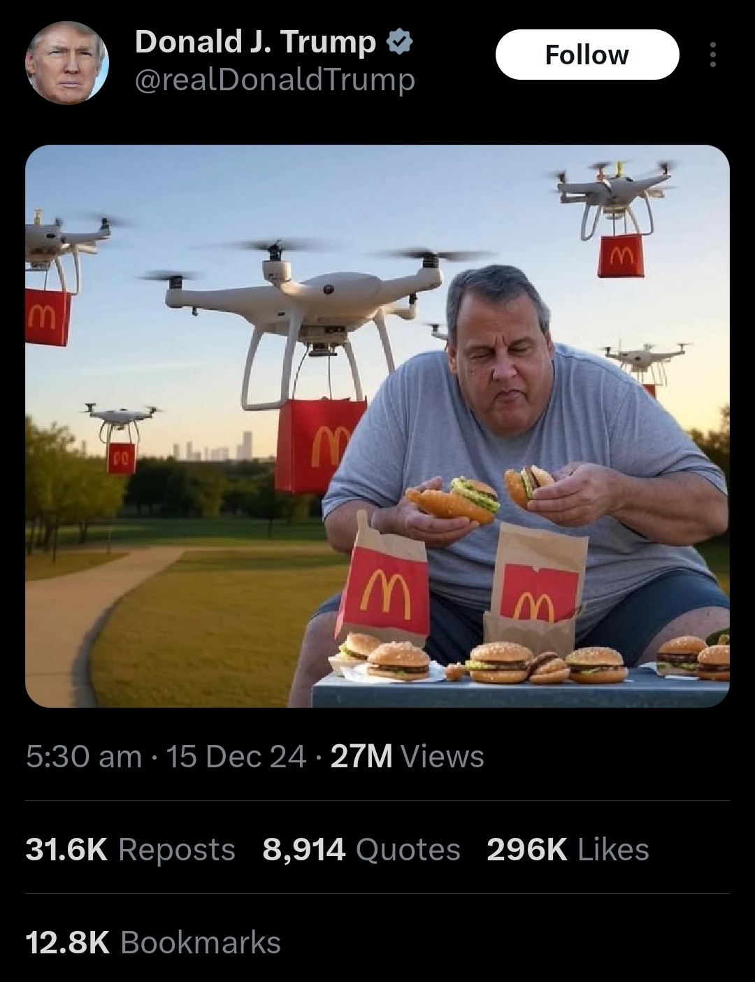 Drones will deliver the fries in the bag🙏