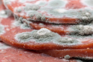 this is for Wilson tan 🤣🤣