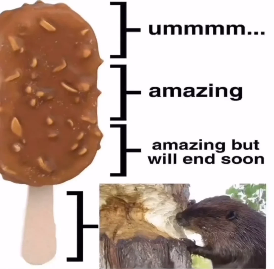 暗号通貨初心者ビンゴ：これらの中で共感できるものは？（ネタバレ：全部当てはまる） - moomooコミュニティ