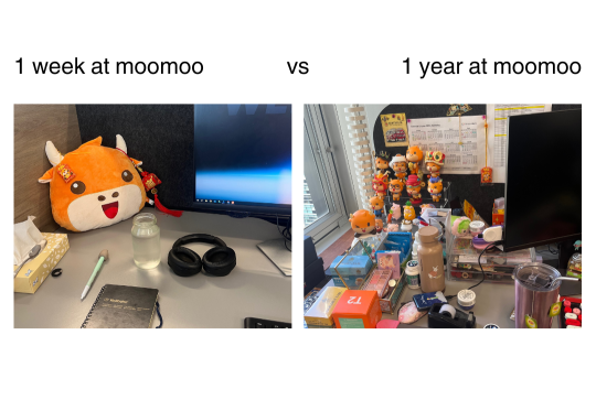Sydney office moomoo love