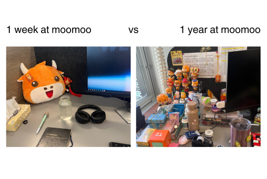 悉尼辦公室的moomoo很喜歡