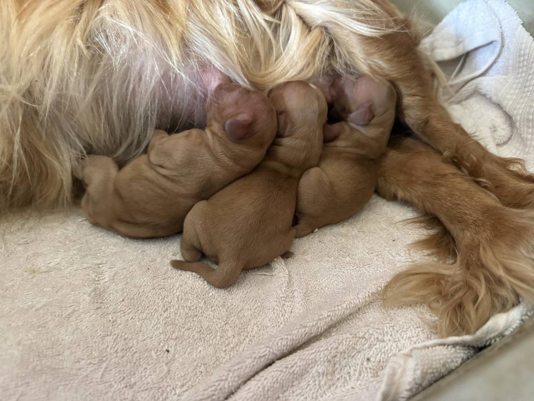 so wildly unrelated.. 🙃