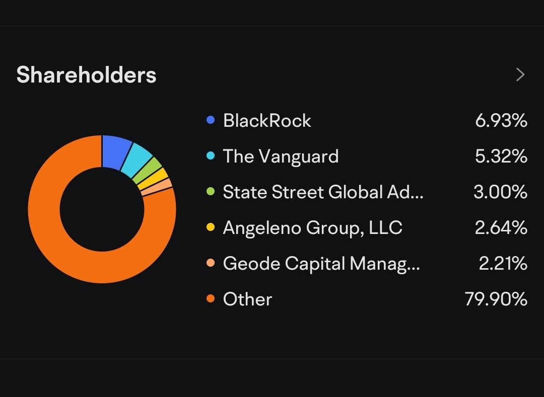 $Stem Inc (STEM.US)$ 看到大公司持股时，我对这位候选人很好奇