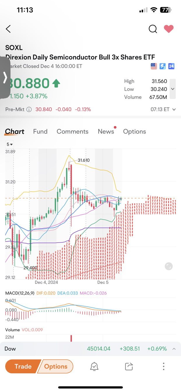 SOXL 今天