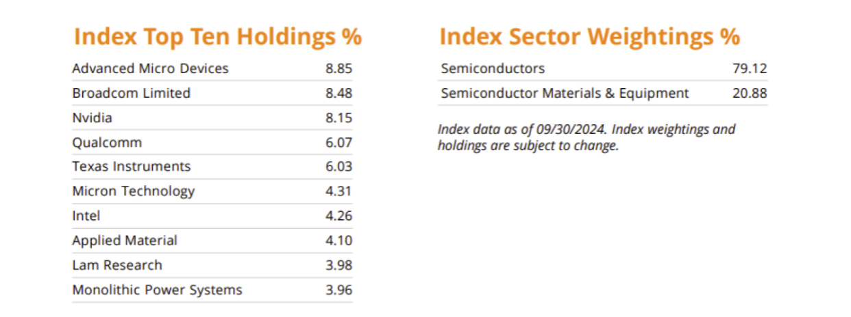 Trump’s Impact on Semiconductors (Does this even matter?) - Policy Changes, Sector Trend, and SOXL