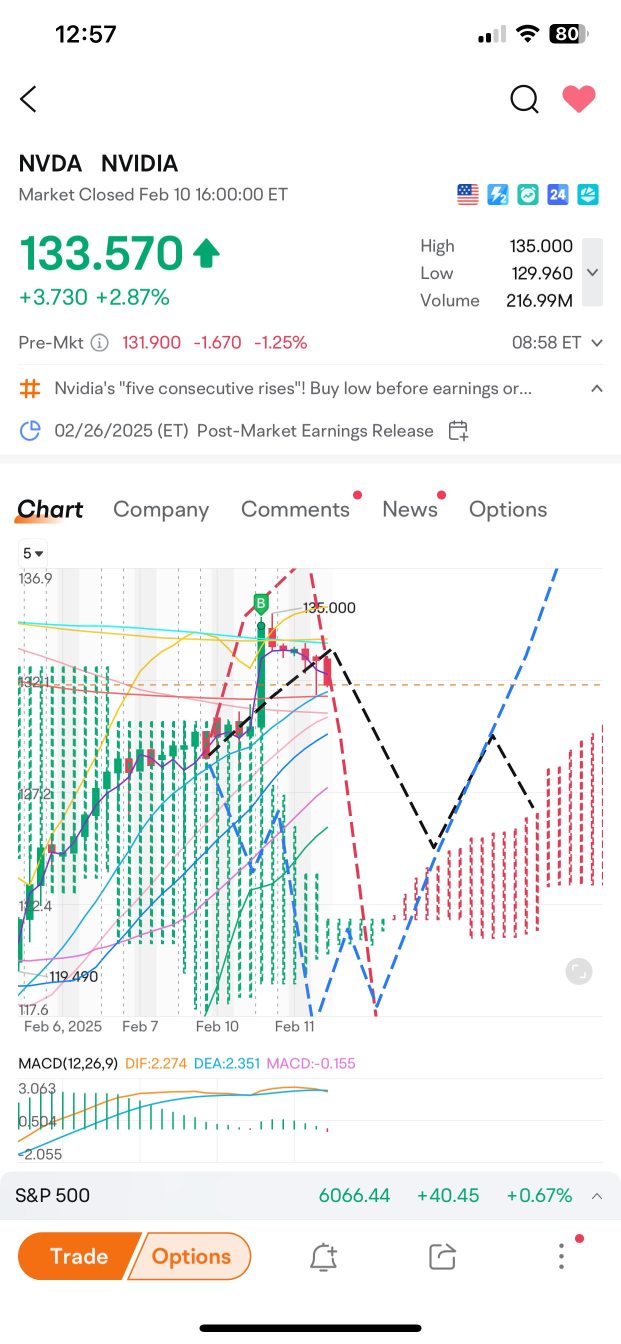 来吧，NVDA