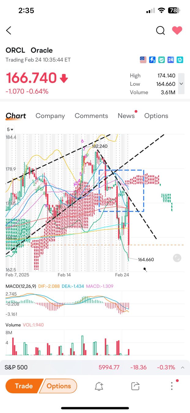 Oracle down