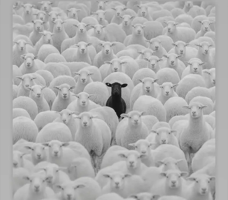 How it felt warning everyone about this shitty stock