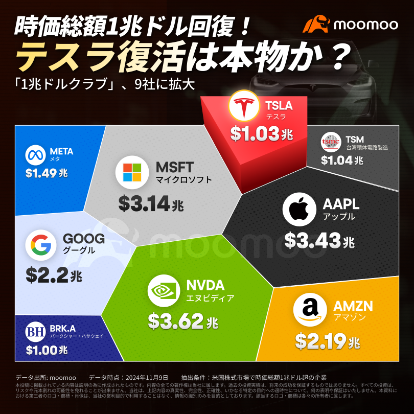 時価総額1兆ドル回復！TSMCを超越　テスラ復活は本物か？「トランプ効果」を超える真実とは