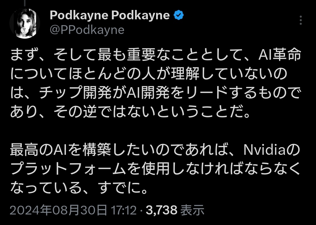 (2024/8/31 土曜日)💻NVIDIA株への戦略考察。