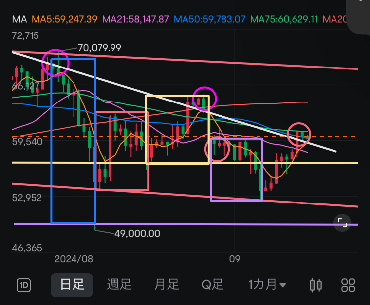 The rapid rise in one week! What is the future development?