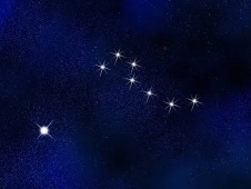 カムイ七星⭐️が…仕込みどき