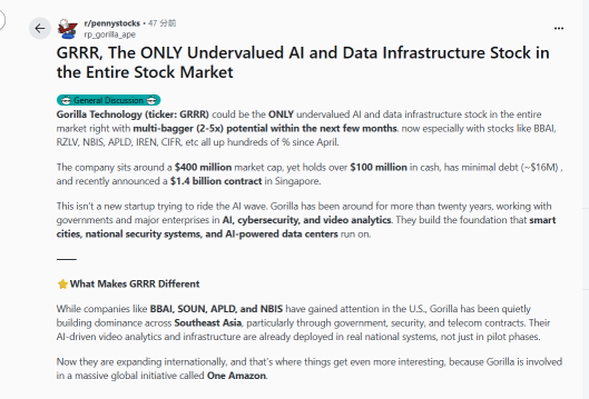 GRRR，被整个股票市场低估的AI和数据基础设施股