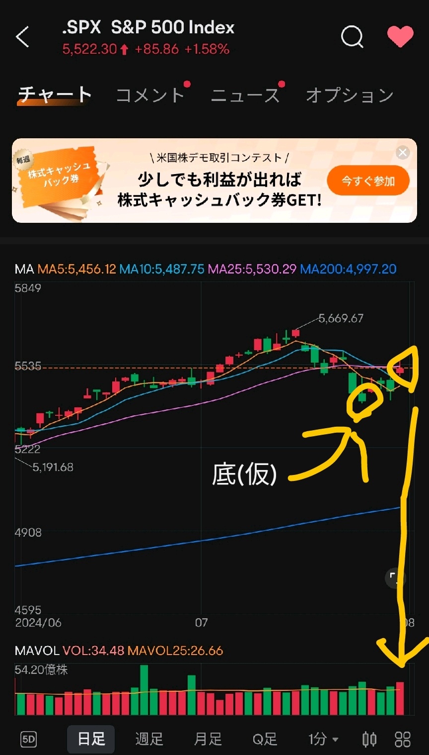 購入始めます(2024年8月1日)