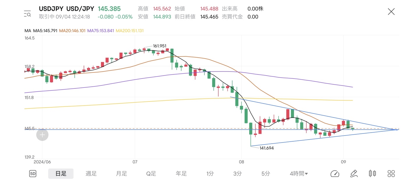 Short-term strategy targeting the fifth wave of the downside pennant.