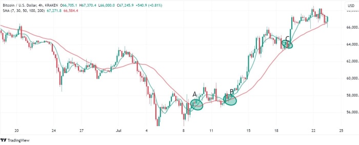 Bitcoin Price Faces Headwinds, But Further Gains Still PossibleMichael AbadhaJul 23, 2024, 16:51 BST