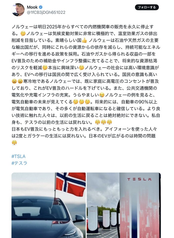 【🇺🇸テスラはiPhone、🇨🇳BYDはAndroid、🇯🇵トヨタはガラケー】🇹🇭タイのみならず🇳🇴ノルウェーまでもEVの波❗️2025年は🇯🇵日本の自動車業界がオワコン元年