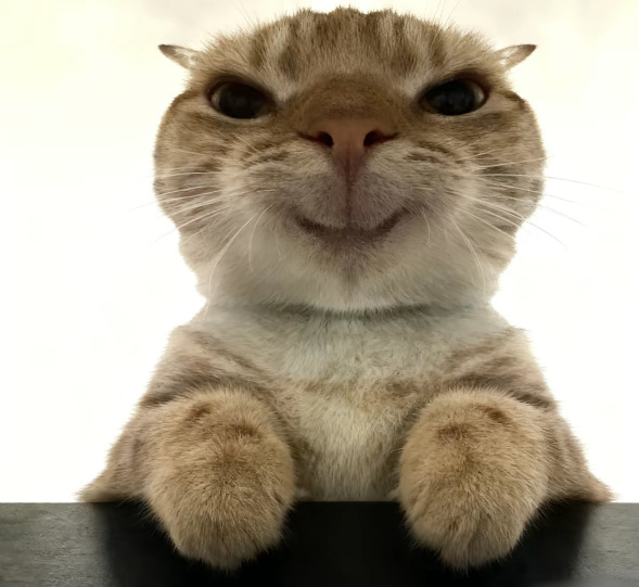 Will it go up or down today, based on intuition?