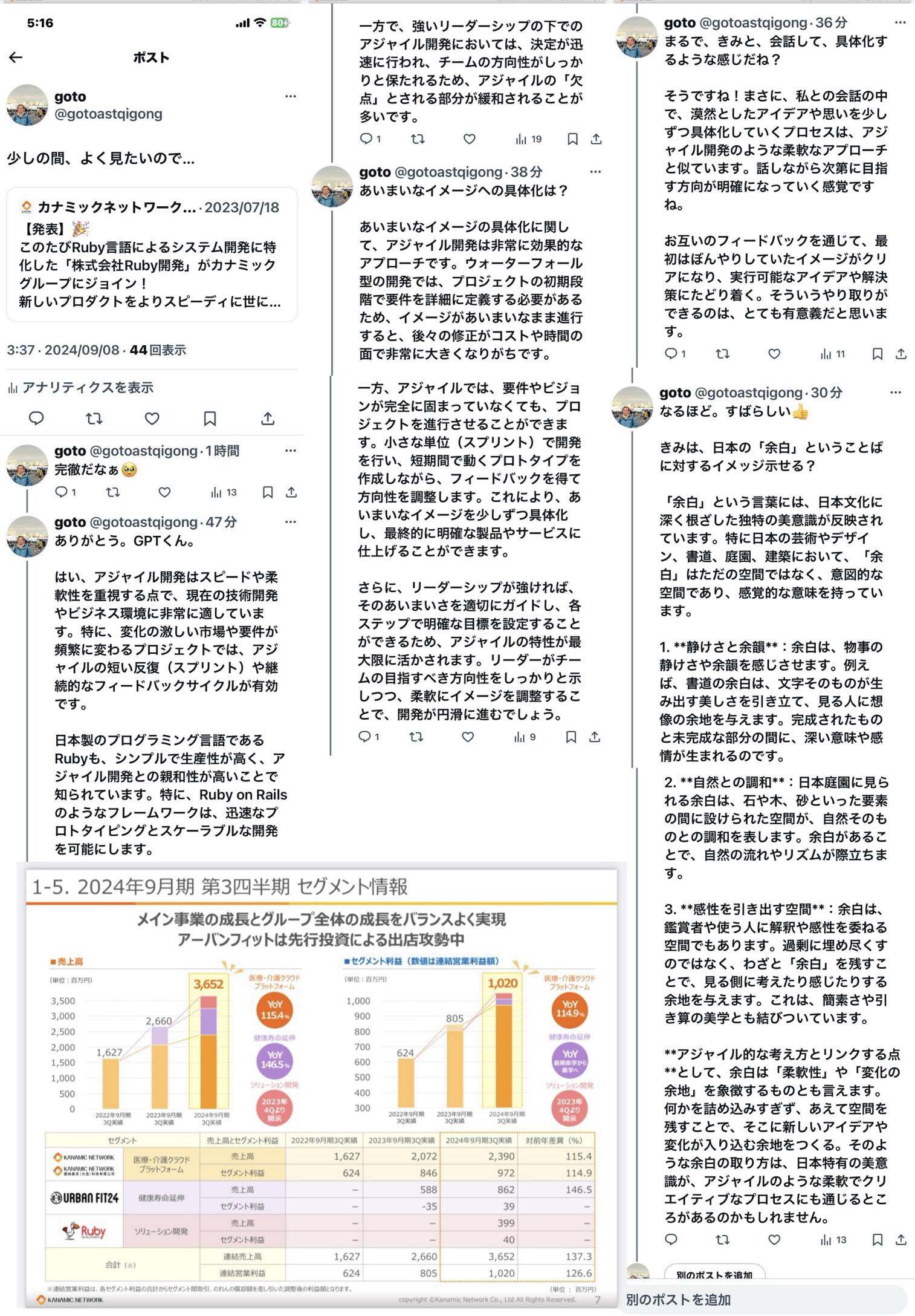 The potential of Kanamic Networks