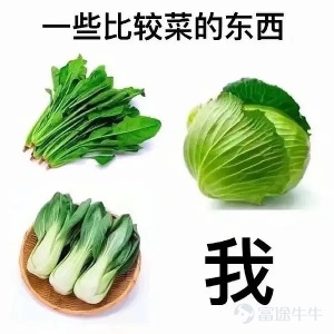 今天是這樣