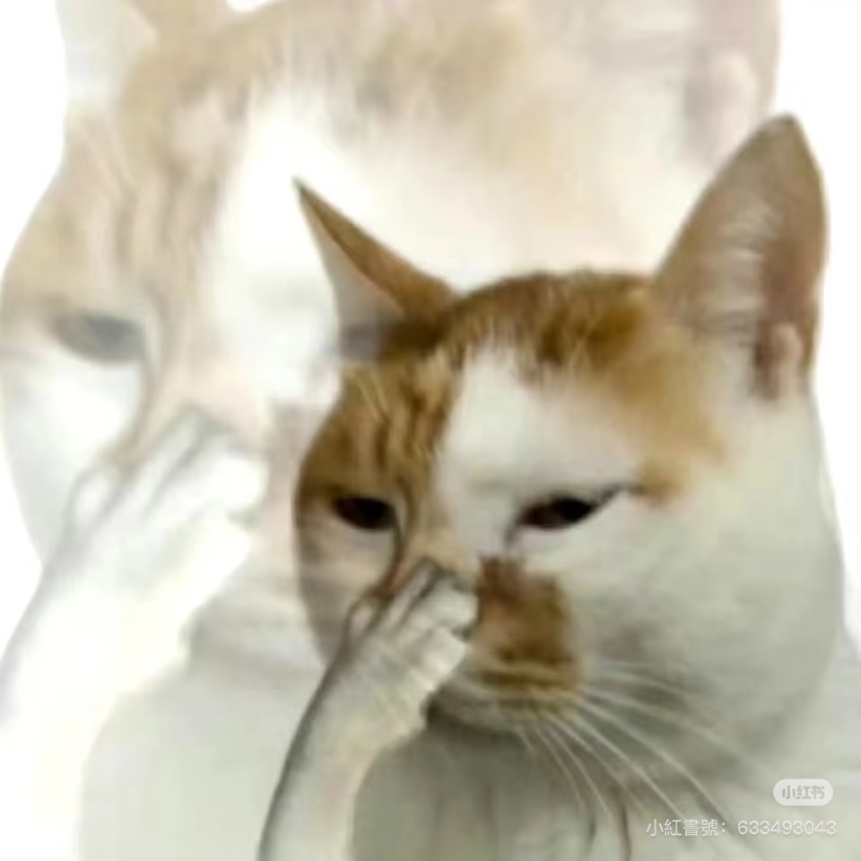 嗯～看來川普先贏一局了