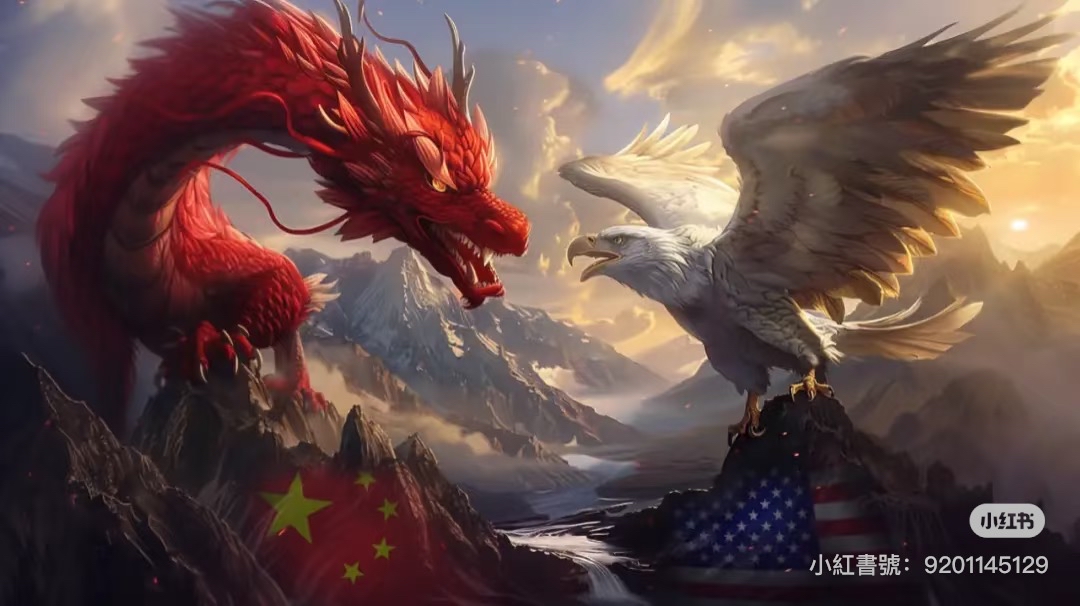吃飯聊個天時間~龍哥就已經籌備好籌碼上桌了。