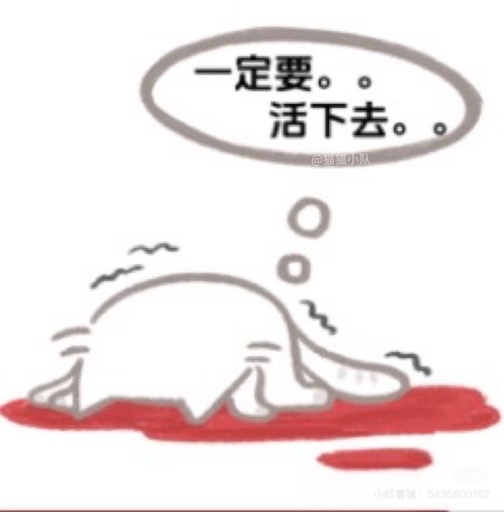 今天晚上希望賣完call就休息了