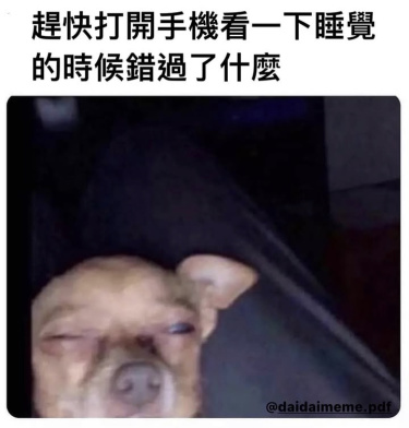 太累了，躺下我就睡着了