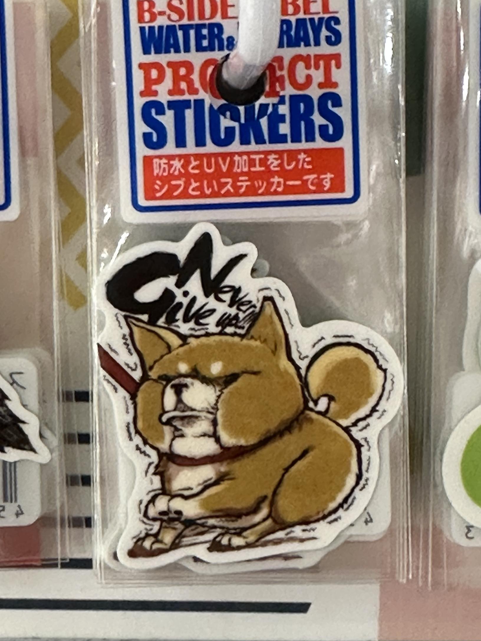 还不错～几天时间就翻倍了