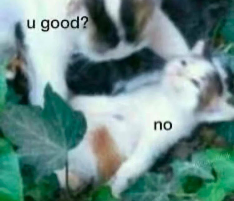 嗯～努力的让盈利赌会议亏损拿回来ing