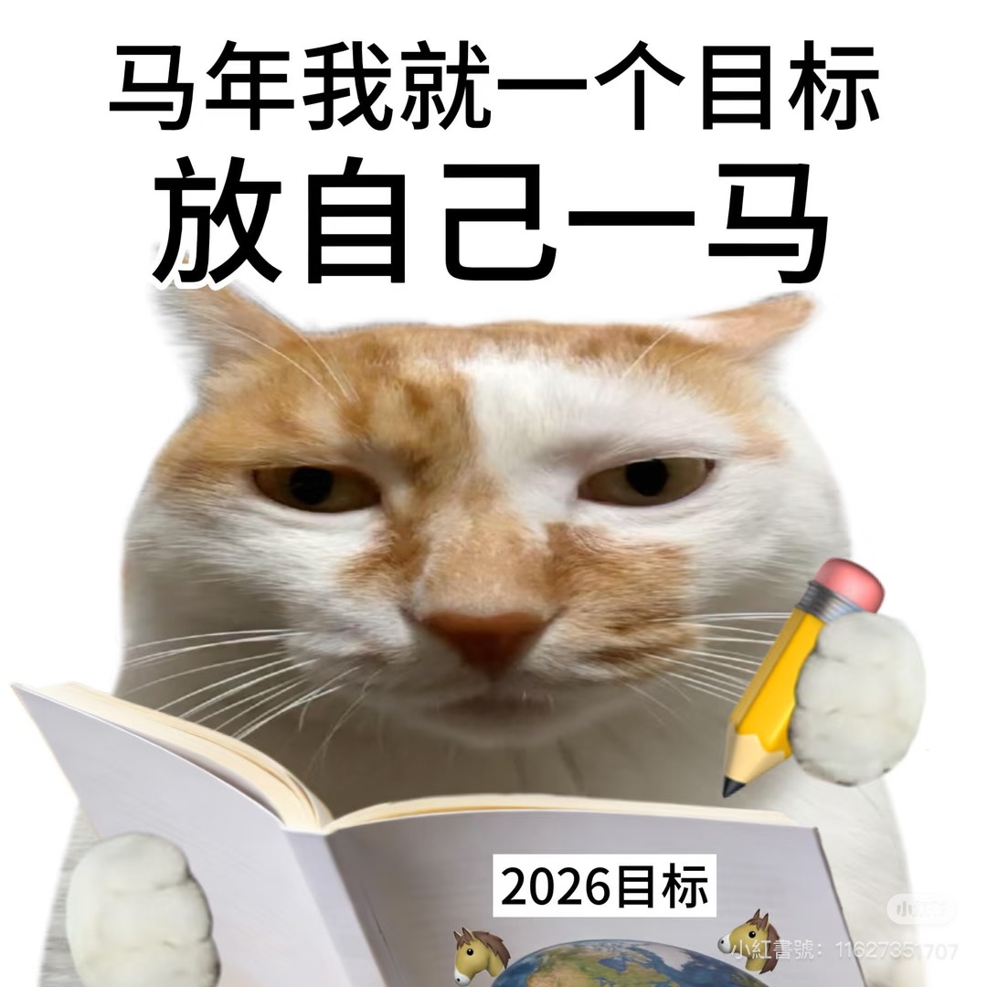 感谢moo友们支持勇夺Top1,2025年度总结之AI资料库驱动账户盈利叠加后半年港股沉沦,2026年G2新格局下展望机器人AI和太空竞赛🚀
