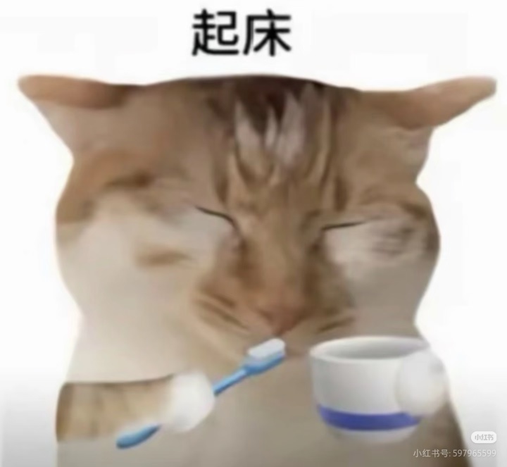 睡醒來看看