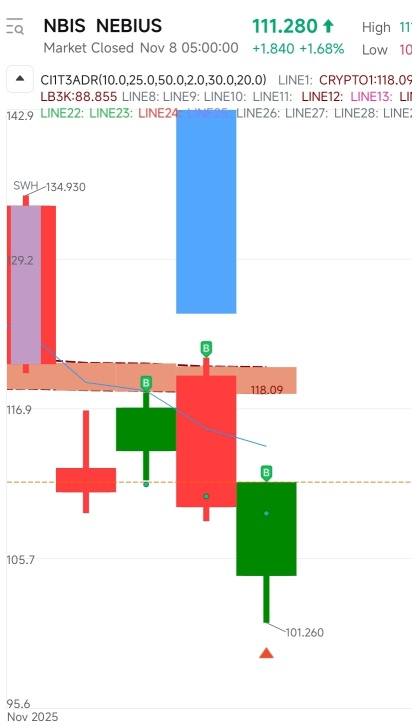 我建仓了$NBIS。
