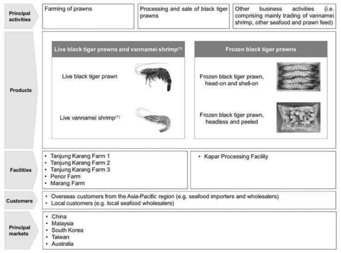 Camaroe Berhad Launches IPO, Subscription Ends on 12 September 2025